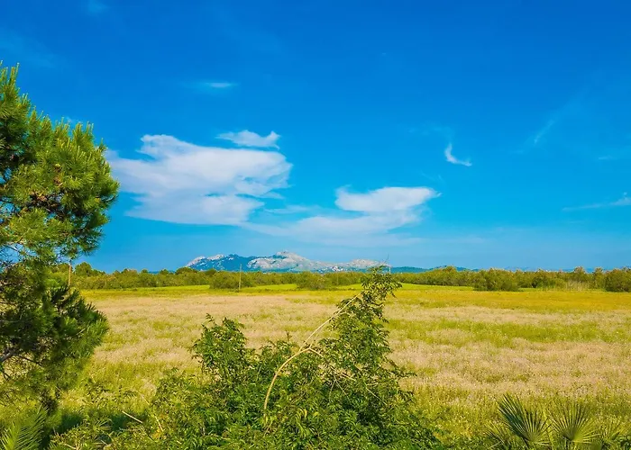 Gospodarstwo agroturystyczne Cap De Bou By Alquilair Pollensa